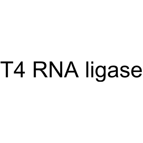 T4 RNA ligase